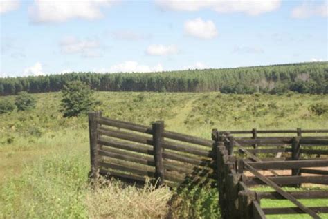 FAZENDA DUPLA APTIDÃO À VENDA EM DOM AQUINO MT Fazendas Mato Grosso