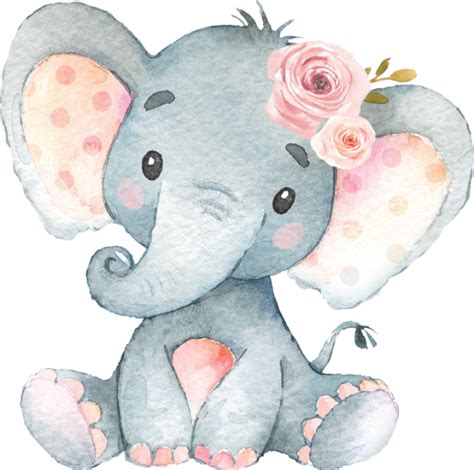 Elefante Bebe Png