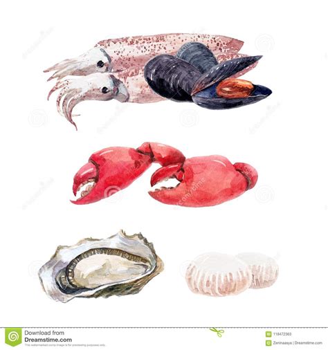 Grupo Do Alimento De Mar Da Aquarela Ilustra O Stock Ilustra O De