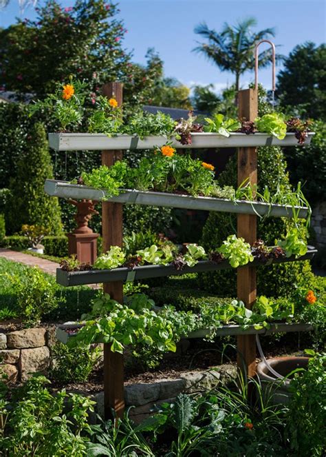 Fascinating Gutter Gardens You Can Make Easily Top Dreamer