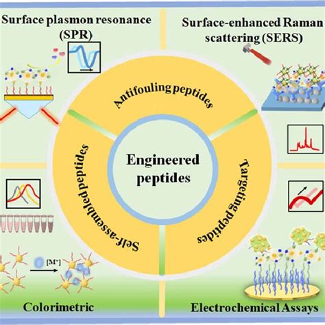 Schematic Diagram Of Advances Of Engineered Peptide Based Biosensors