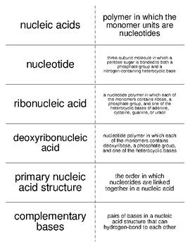 Nucleic Acids Vocabulary Flash Cards For Biological Chemistry TPT