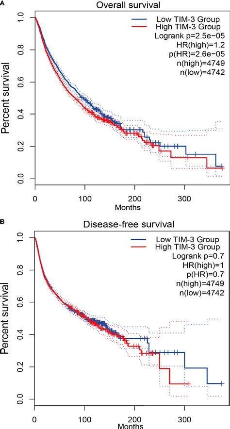 Frontiers Tim As A Prognostic Marker And A Potential Immunotherapy