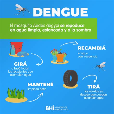 El dengue se minimiza con prevención como herramienta fundamental