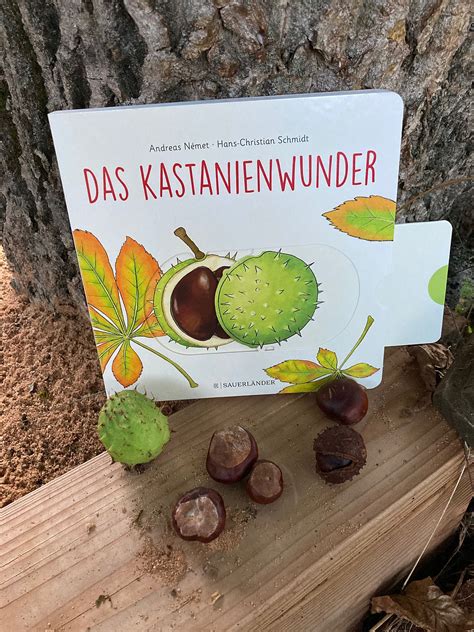 Das Kastanienwunder