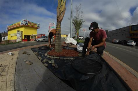 Gobierno De Rosarito Informa Avance Del En Obra Del Bulevar Benito