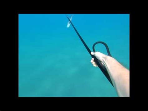 Pesca Sub Pesce Balestra Il Ritorno Fiocina Ad Elastico Polespear