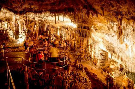 Mallorca Caves Of Drach Tour From The North With Boat Trip GetYourGuide