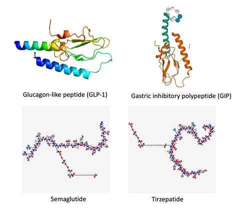 The New Obesity Breakthrough Drugs - by Eric Topol