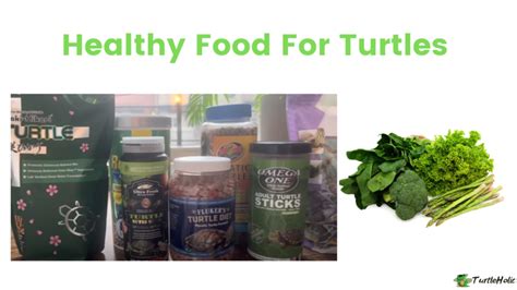 Healthy Food For Turtles Turtleholic