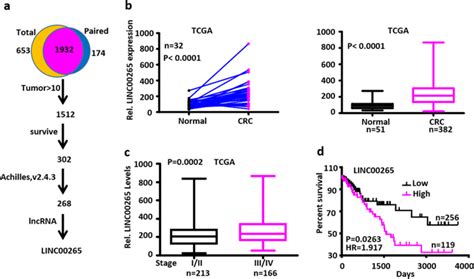 Linc Promotes Colorectal Tumorigenesis Via Zmiz And Usp Mediated