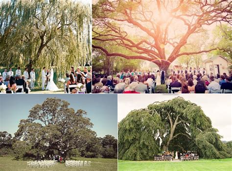 Outdoor Wedding Ceremony Under A Tree