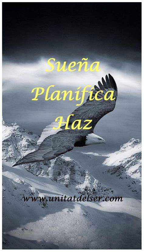 A Bird Flying Over Snow Covered Mountains With The Words Suena