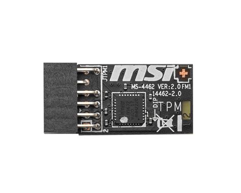 Overview TPM 2 0 Module MSI Deutschland