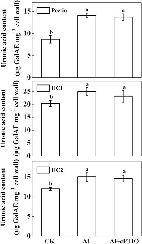 Uronic Acid Content Of Cell Wall Fractions Extracted From The Root Apex