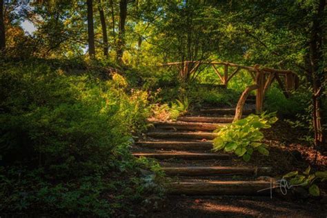 The One Place In New Jersey That Looks Like Something From Middle Earth Trip Places To Go