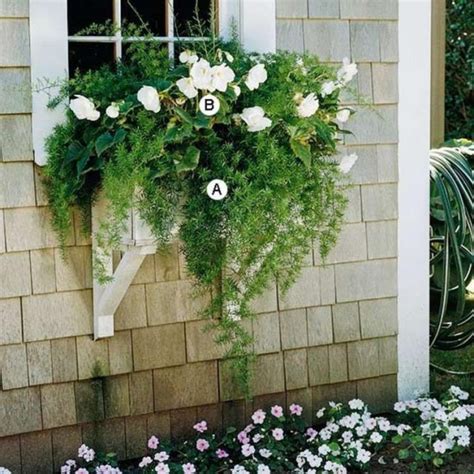 85 Awesome Shade Plants For Windows Boxes Ideas Page 68 Of 85