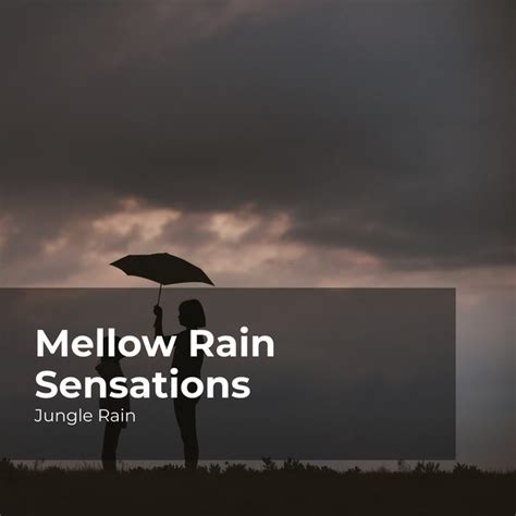 Mellow Rain Sensations Album By Jungle Rain Spotify