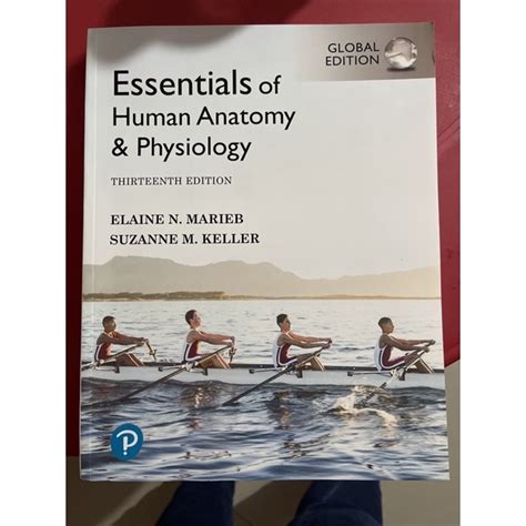 Essentials Of Human Anatomy And Physiology By Marieb 13th Edition