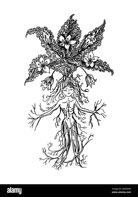 Mythical mandrake plant in vintage style. Fantasy magic flower ...