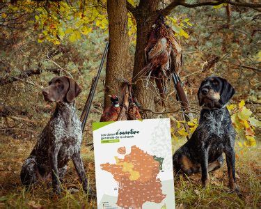 Saison De Chasse 2022 2023 Toutes Les Dates D Ouverture Par