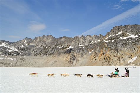 Glacier Dog Sledding Photo Gallery | Alaska Icefield Expeditions ...