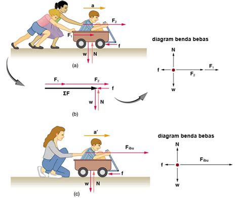 Hukum Ii Newton Fisika Ok