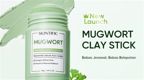 Rekomendasi Mugwort Mask Pilihan Tepat Merawat Kulit Berminyak Dan