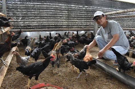 Contoh Peluang Usaha Di Lingkungan Sekitar Siap Beli Kertas Bekas