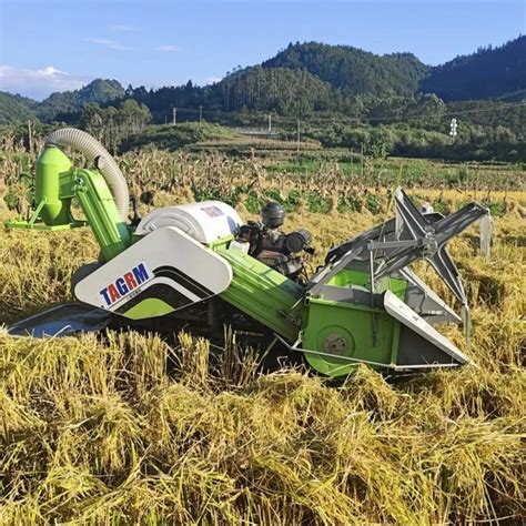 Cosechadora Moissonneuse Batteuse Combine Harvest Wheat Rice Harvesting