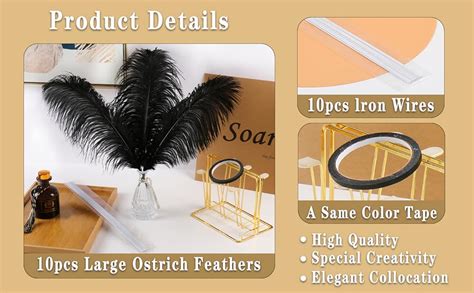 Amazon Soarer Black Large Ostrich Feathers Pcs Making Kit