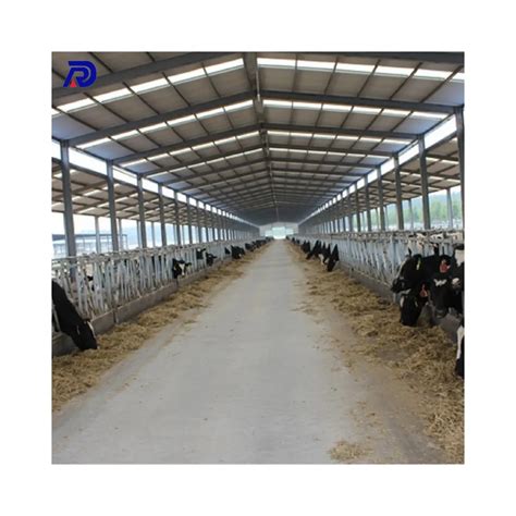 Single Row Prefabricated Cow Shelter Prefab Cow Shed Steel Structure Cattle Farm Building Buy