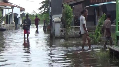 Banjir Di Pekalongan Tak Kunjung Surut Warga Kesulitan Memenuhi Kebutuhan