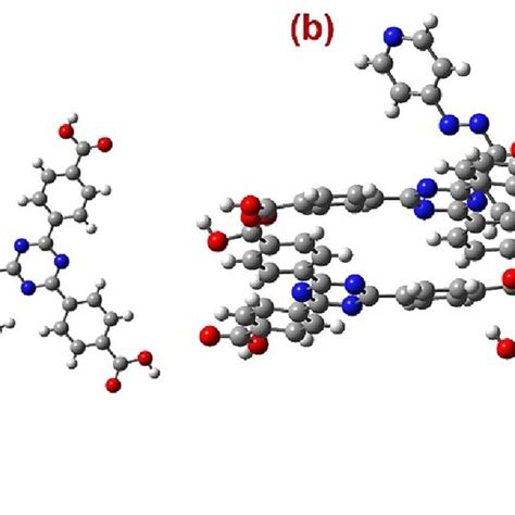 A The Perspective View Of The Optimized Geometries Of A Monomeric