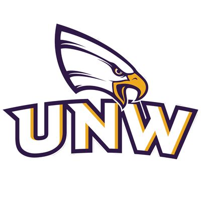 University of Northwestern - St. Paul (Minnesota) Men's Tennis Recruiting & Scholarship ...