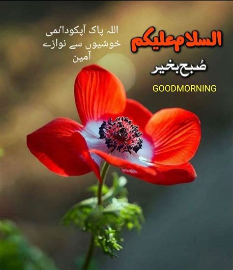 Collection Of Over 999 Stunning Assalamualaikum Images In Urdu High