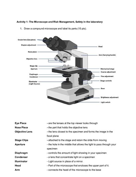 SOLUTION Activity 1 Microscope And Risk Management And Safety In The