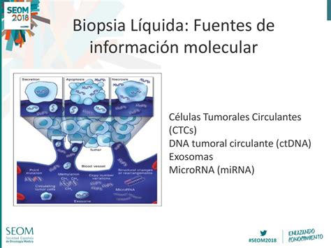 Aplicaciones evidencias y perspectivas de la biopsia líquida en ccr Dr