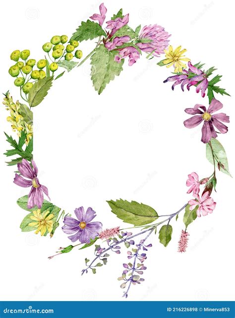 Watercolor Circle Frame With Hand Drawn Herbs And Wildflowers For