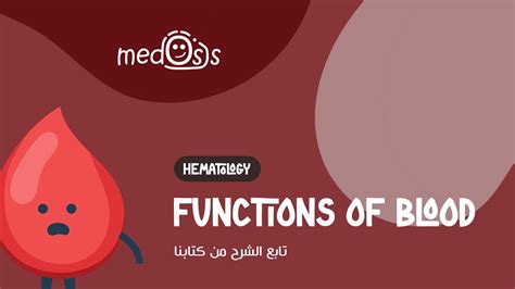 #hematology | (3) functions of blood - YouTube