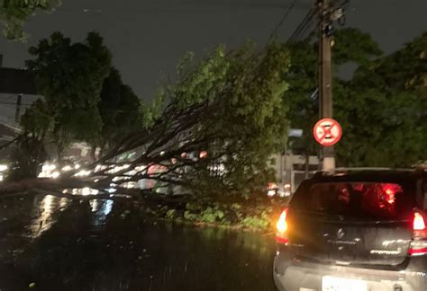 Chuva Forte Provoca Alagamentos E Derruba Rvores Em Goi Nia E Regi O