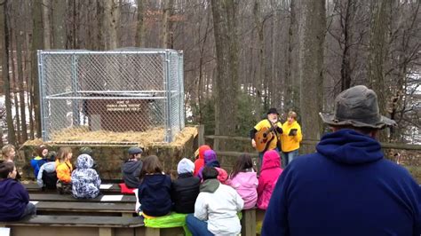 Almost Heaven At Wv Wildlife Center Groundhog Day Youtube