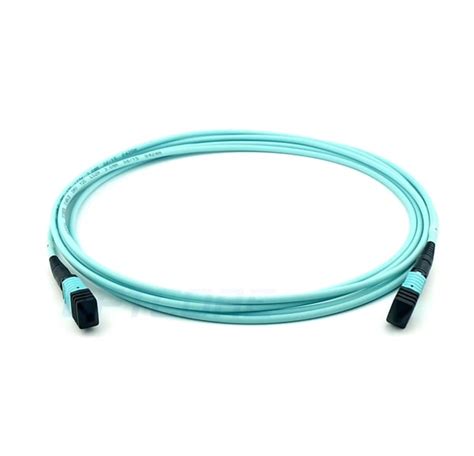 12 Fiber 10g Om3 Mpo Trunk Cablefemaletype Blszh