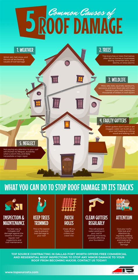 Common Causes Of Roof Damage And What You Can Do To Mitigate Them