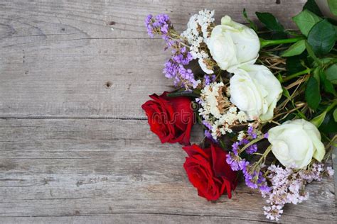 Red and White Roses Background Stock Image - Image of background ...