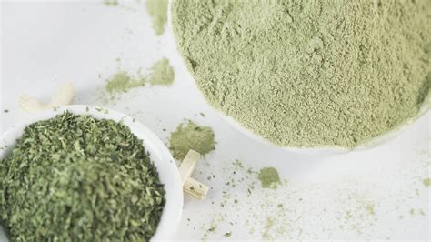 Factory Supply Parsley Extract Powder Parsley Powder Buy Parsley Powder Parsley Extract