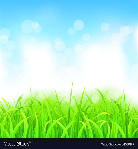 Landscape with grass and sky Royalty Free Vector Image