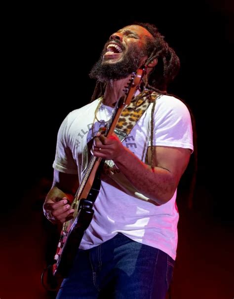 Jack Johnson And Ziggy Marley Sfl Music Magazine