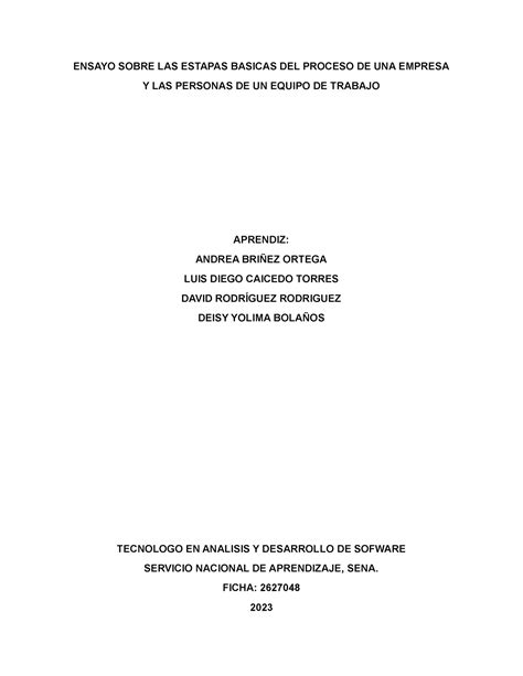 Ensayo Sobre LAS Estapas Basicas DEL Proceso DE UNA Empresa Analisis