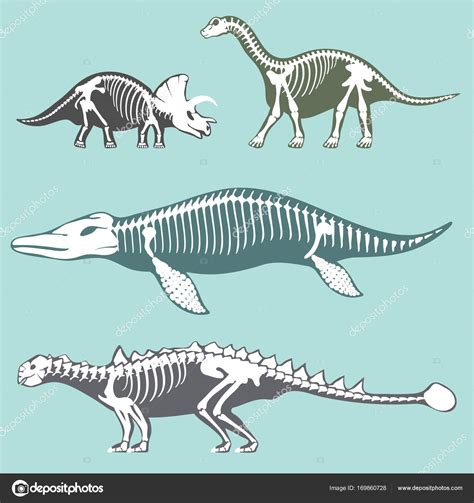 공룡 해골 실루엣 화석 뼈 티라 선사 시대 동물 디노 뼈 벡터 평면 그림 설정 스톡 벡터